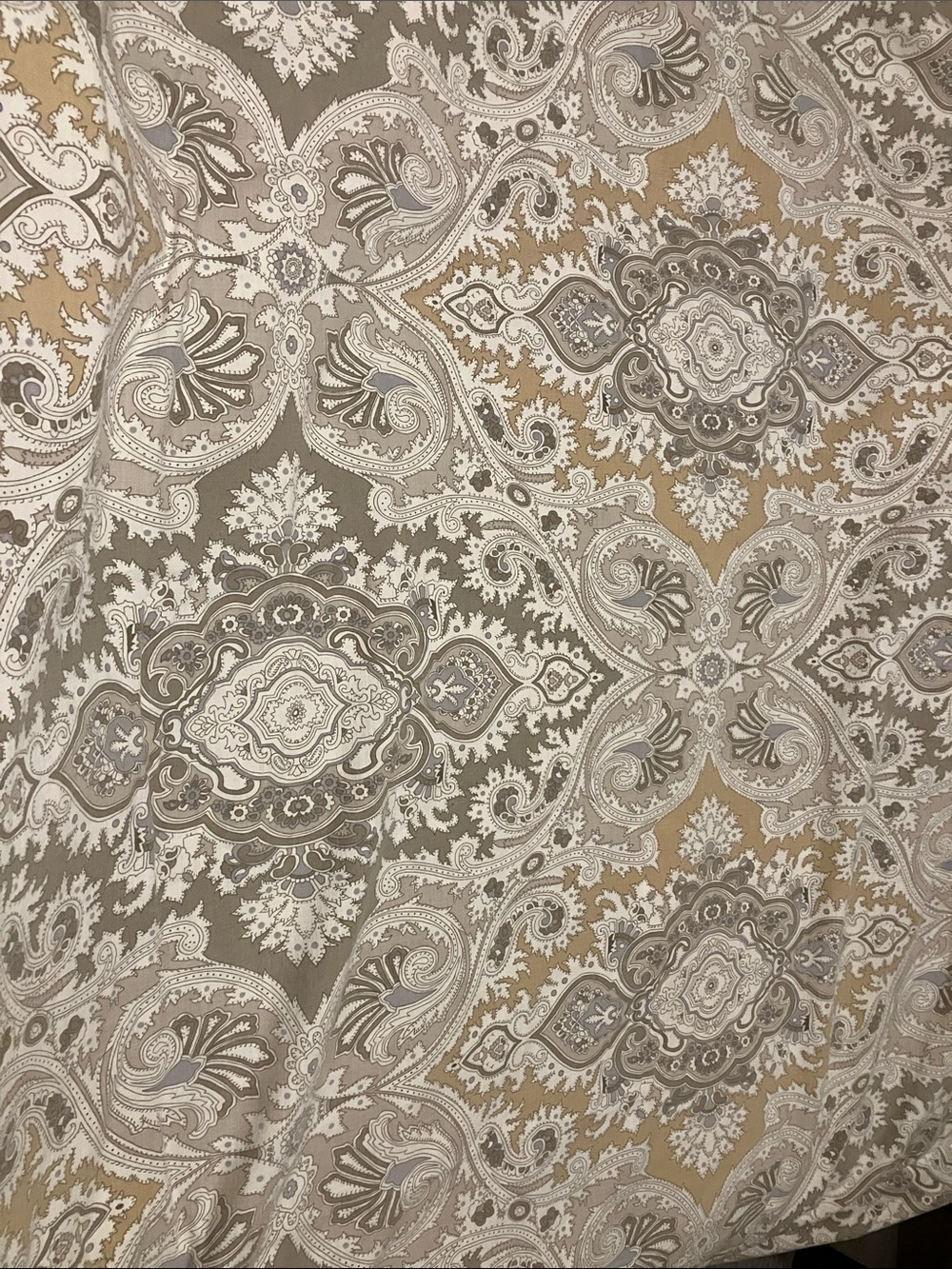 Echo Neutral Paisley Medallion Duvet Cover in Taupe, Cream, Gold - Twin, set of